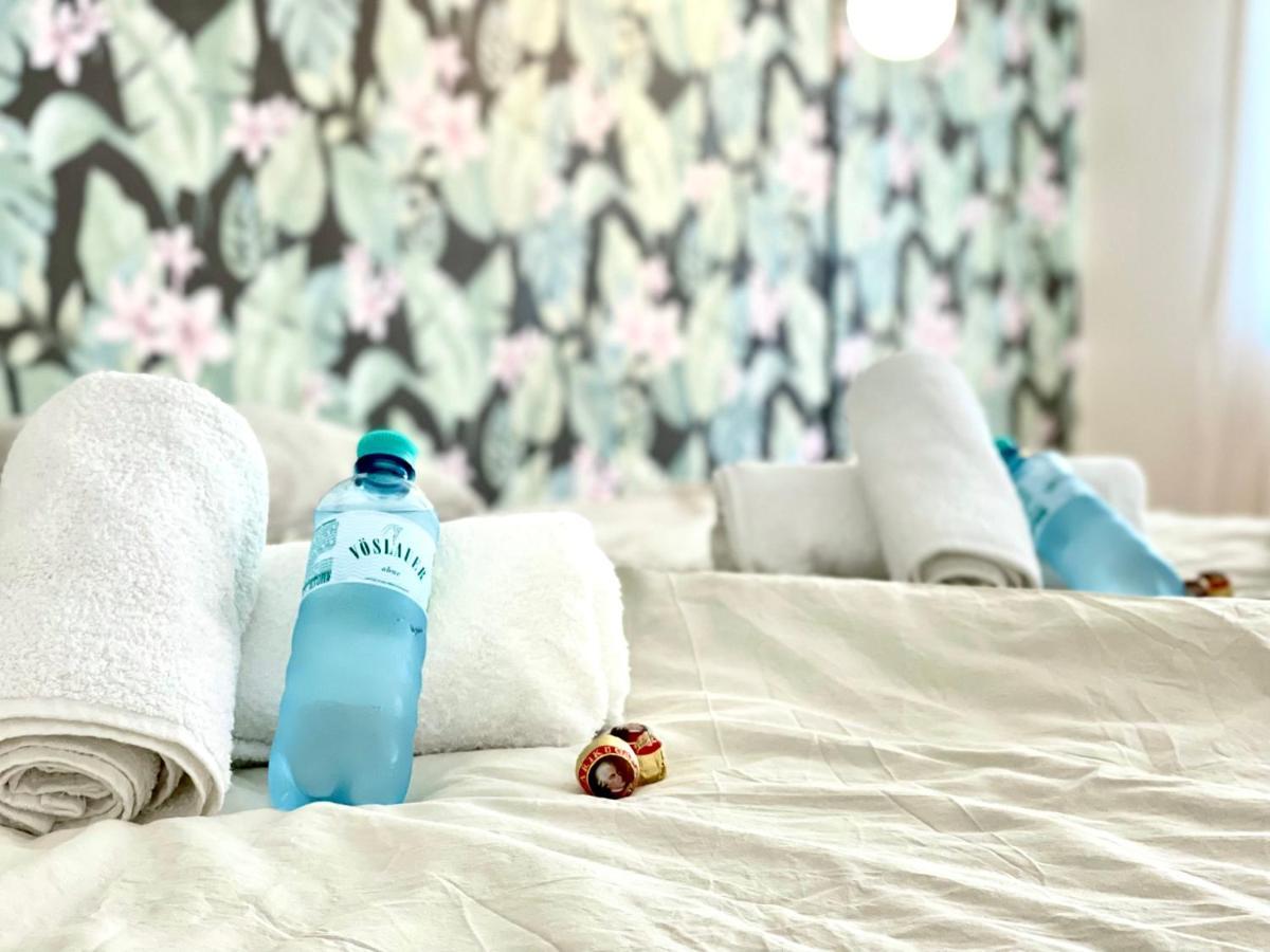 Central Comfy Apartment - Self Check-In غراتس المظهر الخارجي الصورة